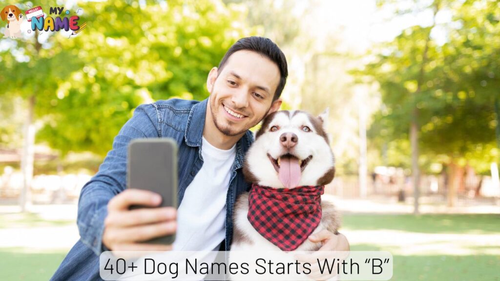Dog Names Starts With B