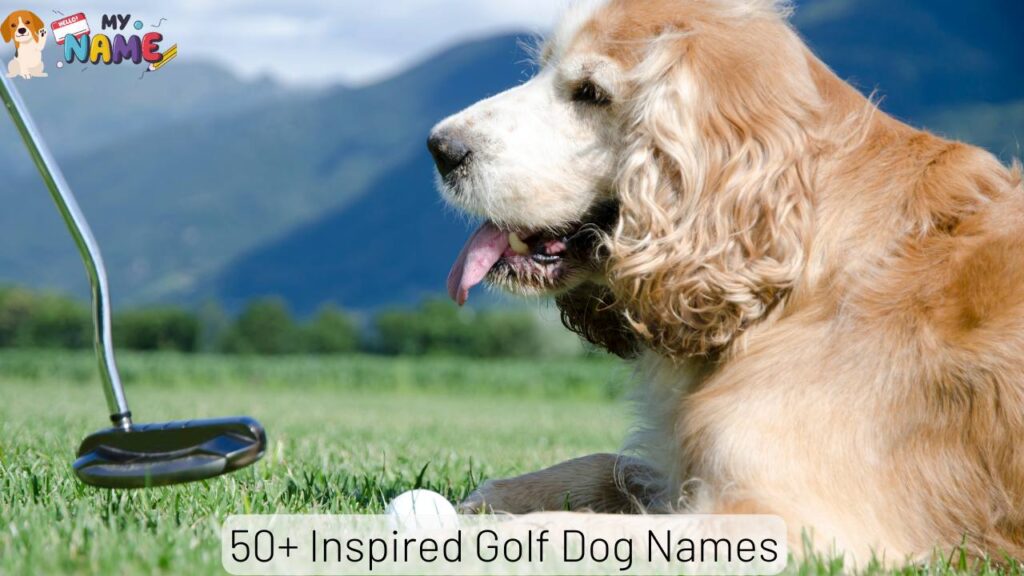 Golf Dog Names