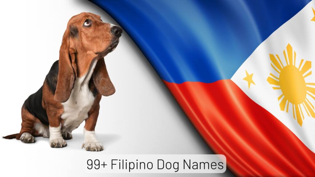 Filipino Dog Names