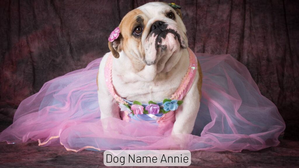 Dog Name Annie