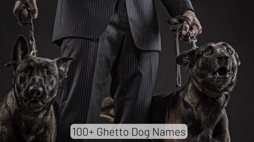 Ghetto Dog Names