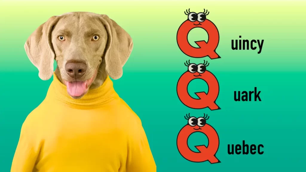 Dog Names Begin With Q